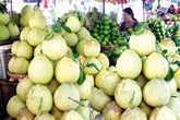 Kinh hoàng trái cây tẩm thuốc tăng ngọt nhanh chín Kinh hoàng trái cây tẩm thuốc tăng ngọt nhanh chín