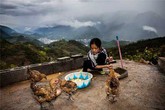Cảm động bộ ảnh về cô bé 9 tuổi một mình chăm cha bệnh nặng Cảm động bộ ảnh về cô bé 9 tuổi một mình chăm cha bệnh nặng