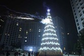 Cây thông kỷ lục Việt Nam có mặt tại Royal City Cây thông kỷ lục Việt Nam có mặt tại Royal City