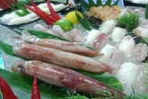 Hải sản 'chuyển phát nhanh' hút khách Hải sản 'chuyển phát nhanh' hút khách