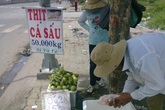 Thịt cá sấu 50.000/kg bán tràn vỉa hè Thịt cá sấu 50.000/kg bán tràn vỉa hè