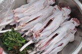 Chuột cống lên thớt biến thành đủ thứ đặc sản Chuột cống lên thớt biến thành đủ thứ đặc sản