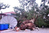Bão Haiyan không gây thiệt hại về người ở Hải Phòng, Quảng Ninh Bão Haiyan không gây thiệt hại về người ở Hải Phòng, Quảng Ninh
