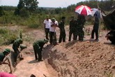 Các anh đã về với mẹ Các anh đã về với mẹ