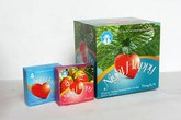 Bình Đại, Bến Tre triển khai tiếp thị xã hội các phương tiện tránh thai: Tăng cường truyền thông trực tiếp Bình Đại, Bến Tre triển khai tiếp thị xã hội các phương tiện tránh thai: Tăng cường truyền thông trực tiếp