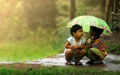 Điều giản dị hơn mọi lời hoa mỹ Điều giản dị hơn mọi lời hoa mỹ