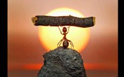 Trước tiên hãy chiến thắng chính mình Trước tiên hãy chiến thắng chính mình