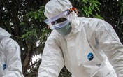 WHO: Số ca nhiễm virus Ebola đã vượt quá 10.000 người WHO: Số ca nhiễm virus Ebola đã vượt quá 10.000 người