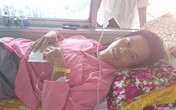 "Chân ba con đâu rồi, bao giờ mới mọc lại…?" "Chân ba con đâu rồi, bao giờ mới mọc lại…?"