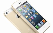iPhone 6 mới ra dìm giá iPhone 5S xuống đáy iPhone 6 mới ra dìm giá iPhone 5S xuống đáy