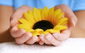 Cho đi để nhận lại nhiều hơn Cho đi để nhận lại nhiều hơn