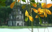Một Hà Nội quen và lạ Một Hà Nội quen và lạ