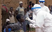 Hãi hùng dịch sốt xuất huyết bùng phát do virus giống Ebola Hãi hùng dịch sốt xuất huyết bùng phát do virus giống Ebola
