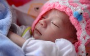Sức sống mãnh liệt từ tai họa thảm khốc Sức sống mãnh liệt từ tai họa thảm khốc