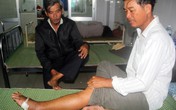 Dân hoang mang vì bị rắn lục xông vào nhà cắn Dân hoang mang vì bị rắn lục xông vào nhà cắn