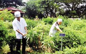 Bộ sưu tập cây thuốc Nam hiếm có ở trại rắn Đồng Tâm Bộ sưu tập cây thuốc Nam hiếm có ở trại rắn Đồng Tâm