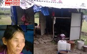 Cuộc sống “địa ngục trần gian” của người đàn bà 40 năm bị chồng bạo hành tình dục Cuộc sống “địa ngục trần gian” của người đàn bà 40 năm bị chồng bạo hành tình dục