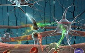 Đau do biến chứng thần kinh đái tháo đường Đau do biến chứng thần kinh đái tháo đường