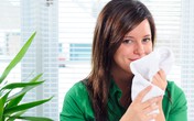 Tự tin hơn với áo trắng dịu hương Tự tin hơn với áo trắng dịu hương