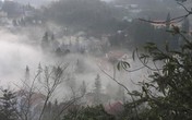 Hình ảnh sương muối, mây mù “tấn công” Sa Pa, Mẫu Sơn Hình ảnh sương muối, mây mù “tấn công” Sa Pa, Mẫu Sơn