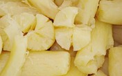 Bé 7 tuổi tím tái sau khi ăn sắn Bé 7 tuổi tím tái sau khi ăn sắn