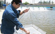 Ông nông dân có thu nhập “khủng” nhất với 30 tỷ đồng Ông nông dân có thu nhập “khủng” nhất với 30 tỷ đồng