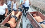 "Chí Phèo thời hiện đại" bị người dân bắt trói, bỏ lên xe kéo đi khắp làng "Chí Phèo thời hiện đại" bị người dân bắt trói, bỏ lên xe kéo đi khắp làng