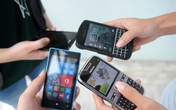 Doanh nhân khổ vì sim VIP Doanh nhân khổ vì sim VIP