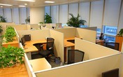 Góc phong thủy: Đem sinh khí cho góc làm việc Góc phong thủy: Đem sinh khí cho góc làm việc