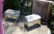 Cặp đôi bị giết rồi nhét xác vào rương vì không nghe lời cha mẹ Cặp đôi bị giết rồi nhét xác vào rương vì không nghe lời cha mẹ