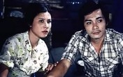 Chuyện ít biết về 4 người vợ của Thương Tín - Kỳ 1: Yêu điên cuồng, bất chấp thủ đoạn Chuyện ít biết về 4 người vợ của Thương Tín - Kỳ 1: Yêu điên cuồng, bất chấp thủ đoạn