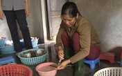 Bơm tạp chất lạ vào tôm sú, bán cho trung tâm tiệc cưới Bơm tạp chất lạ vào tôm sú, bán cho trung tâm tiệc cưới