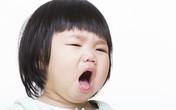 Bé bị ho, điều trị thế nào cho hiệu quả? Bé bị ho, điều trị thế nào cho hiệu quả?