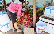 Trái cây “rẻ như cho” tràn ngập đường phố Sài Gòn Trái cây “rẻ như cho” tràn ngập đường phố Sài Gòn