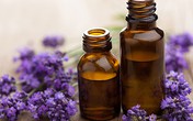 4 cách đơn giản khử sạch mùi hôi bồn cầu 4 cách đơn giản khử sạch mùi hôi bồn cầu
