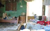 Người cựu thanh niên xung phong 70 tuổi vẫn nhặt ve chai chăm chồng và con tâm thần Người cựu thanh niên xung phong 70 tuổi vẫn nhặt ve chai chăm chồng và con tâm thần
