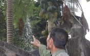 Ám ảnh chuyện người sống ở chung với người chết Ám ảnh chuyện người sống ở chung với người chết