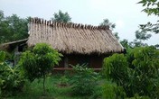 “Dị nhân” bỏ nhà phố ra ở lều tranh không tivi và nồi cơm điện “Dị nhân” bỏ nhà phố ra ở lều tranh không tivi và nồi cơm điện
