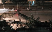 Câu chuyện đêm khuya giữa người ăn xin và tài xế ô tô tại Quảng Ninh gây xúc động mạnh Câu chuyện đêm khuya giữa người ăn xin và tài xế ô tô tại Quảng Ninh gây xúc động mạnh