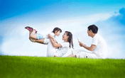 Thâm cung bí sử (78 - 8): Mô hình cò vàng Thâm cung bí sử (78 - 8): Mô hình cò vàng