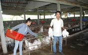 Thiếu gia Đà Nẵng bỏ phố về làng Thiếu gia Đà Nẵng bỏ phố về làng