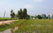 Tạm giữ cha ruột nghi giết hại con Tạm giữ cha ruột nghi giết hại con