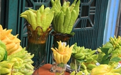 Phật thủ giá trăm nghìn đắt hàng trước rằm tháng Bảy Phật thủ giá trăm nghìn đắt hàng trước rằm tháng Bảy