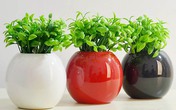Cấm kỵ cần nhớ khi bày bình hoa trong phòng khách Cấm kỵ cần nhớ khi bày bình hoa trong phòng khách
