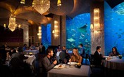 Điểm mặt những nơi đại gia thường "đốt tiền" ở Dubai Điểm mặt những nơi đại gia thường "đốt tiền" ở Dubai