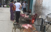 Có hẳn một quy định "rọ mõm" bị... lãng quên! Có hẳn một quy định "rọ mõm" bị... lãng quên!