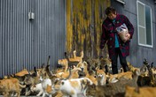 Kỳ lạ "vương quốc" có 22 người dân và 120 con mèo Kỳ lạ "vương quốc" có 22 người dân và 120 con mèo