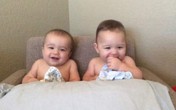 Mẹ đuổi con ong, 2 con sinh đôi chết thảm Mẹ đuổi con ong, 2 con sinh đôi chết thảm