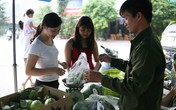 Lệ Rơi Lệ Rơi