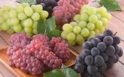 Cách bảo quản 12 loại thực phẩm tươi ngon dài lâu Cách bảo quản 12 loại thực phẩm tươi ngon dài lâu